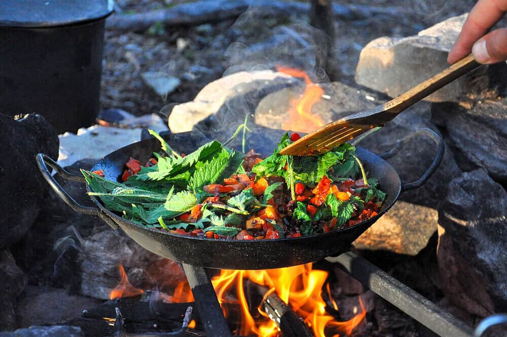 7 Day Wilderness & Personal Development Retreat in Norway 3