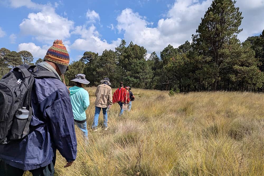 11 Day Medicine Pilgrimage in Tepotzlan, Mexico 5