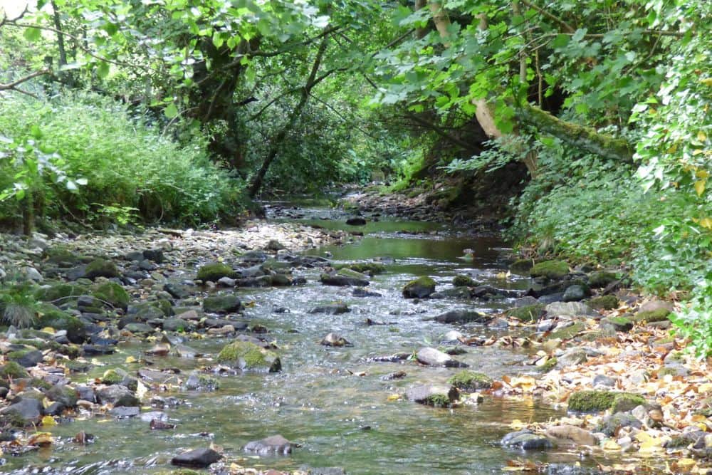 2 Day Meditation Retreat For Women in Wales, UK 7