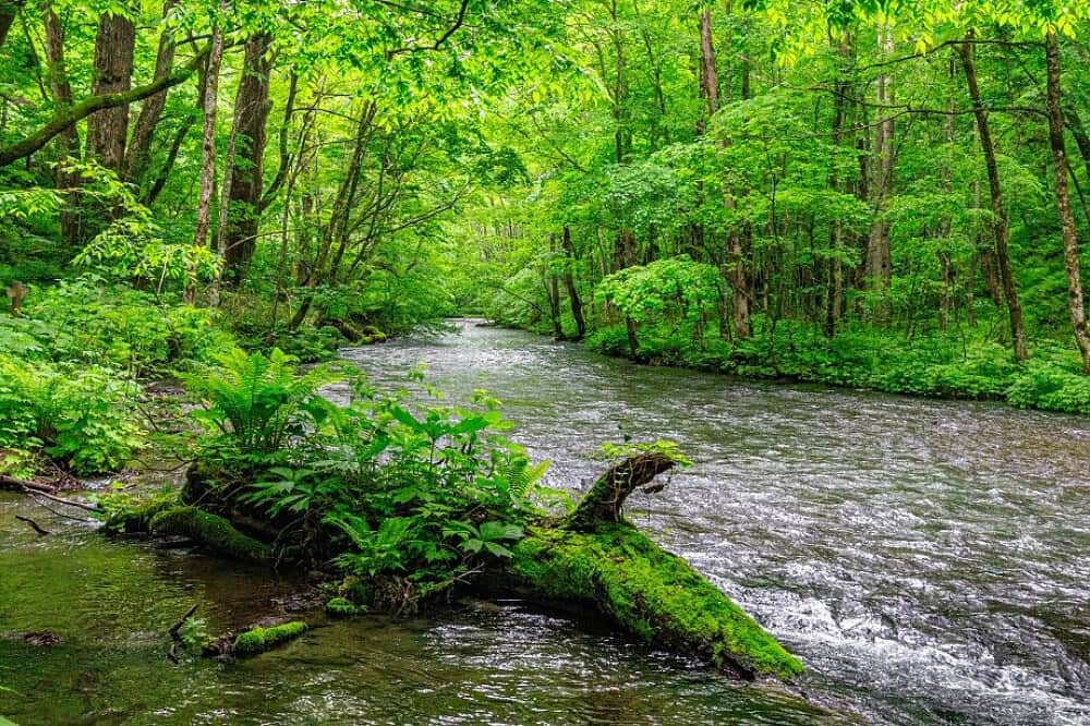 2 Day Meditation Retreat For Women in Wales, UK 2