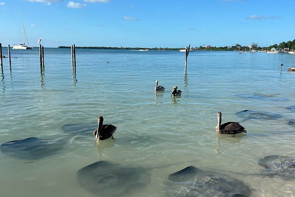 5 Day The Path Belize Magic in the Caribbean 4