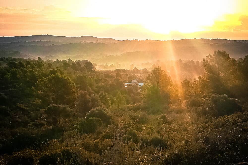 8 Day Yoga & Overcome Addiction Retreat in Valencia, Spain 6