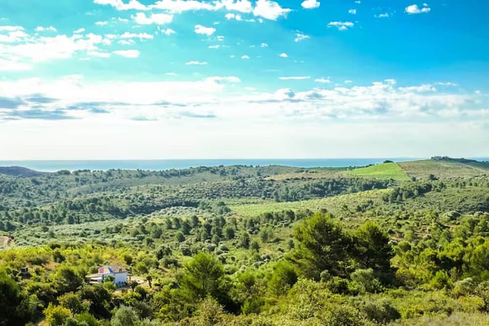 8 Day Yoga & Overcome Addiction Retreat in Valencia, Spain 1