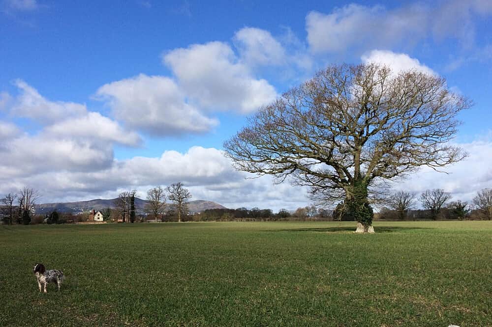 3 Day Anxiety Relief & Mental Wellness Retreat in England, UK 2