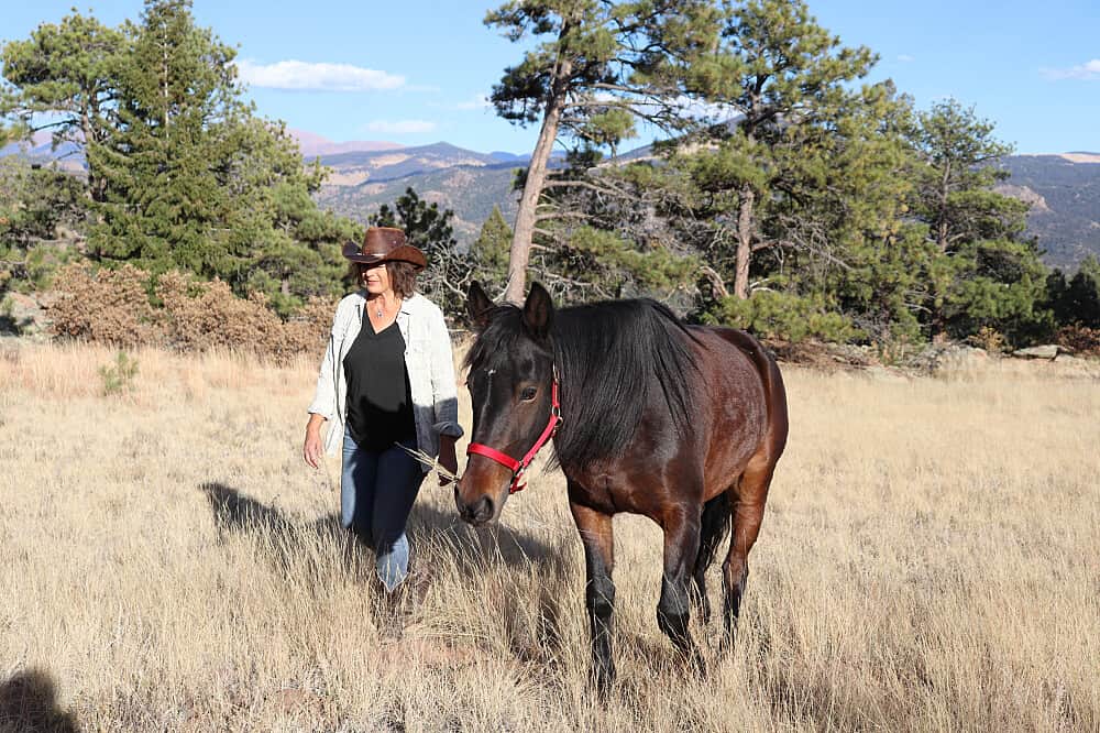 4 Day Private Equine-Assisted Burnout Recovery & Reset in CO, US 4