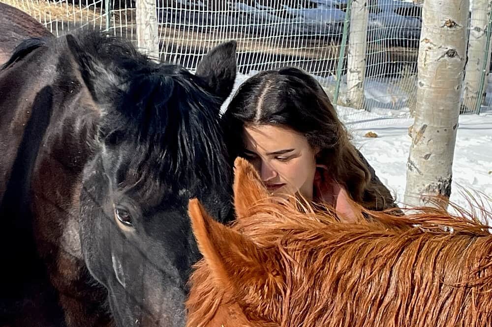 4 Day Private Equine-Assisted Burnout Recovery & Reset in CO, US 1