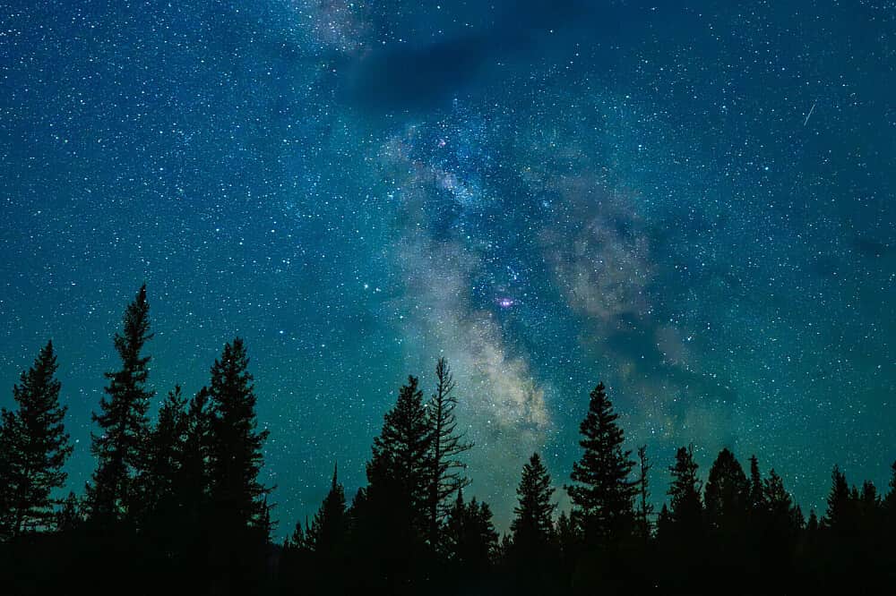 4 Day Nervous System Reset - Retreat in MT, USA 3