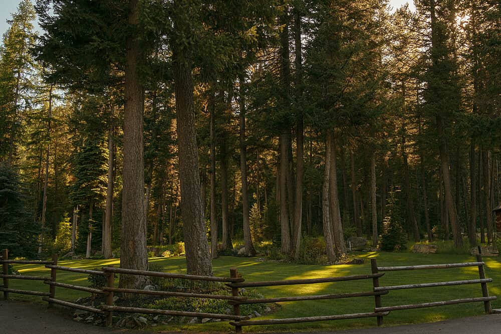 4 Day Nervous System Reset - Retreat in MT, USA 8