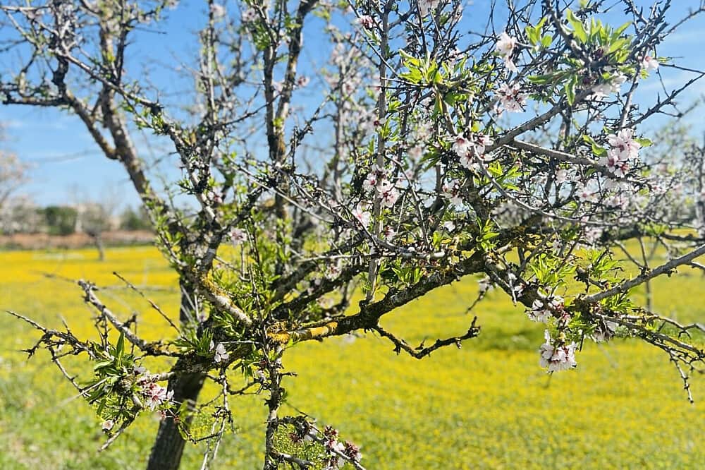 3 Day Living Mindfulness & Back to Nature Retreat in Spain 5