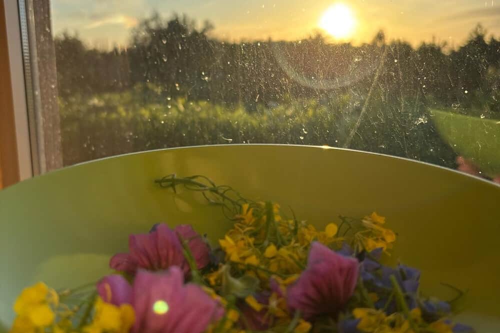 3 Day Living Mindfulness & Back to Nature Retreat in Spain 8