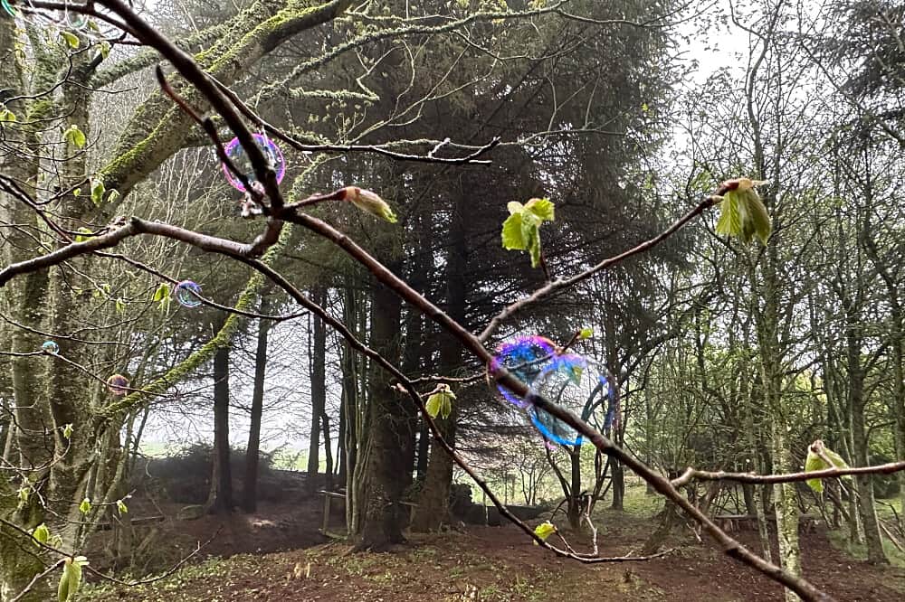 5 Day Private Anxiety & Depression Healing Retreat in Scotland 1