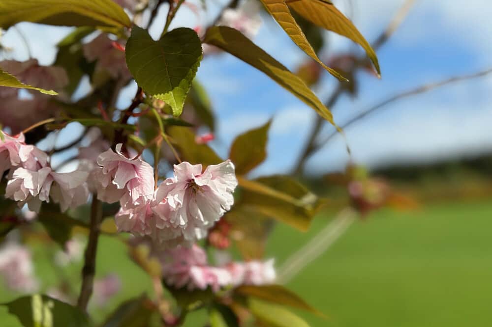 5 Day Private Anxiety & Depression Healing Retreat in Scotland 8