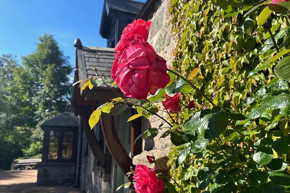 5 Day Private Life Transition & Clarity Retreat in Scotland 5