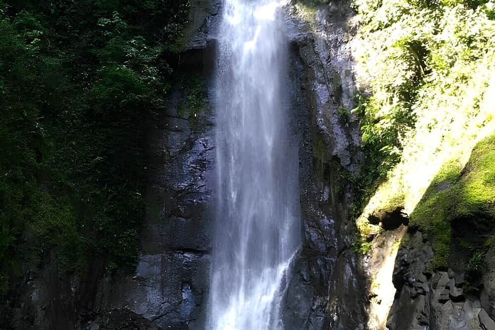 8 Day Ayurveda Detox & Yoga Retreat for Couples in Costa Rica 3