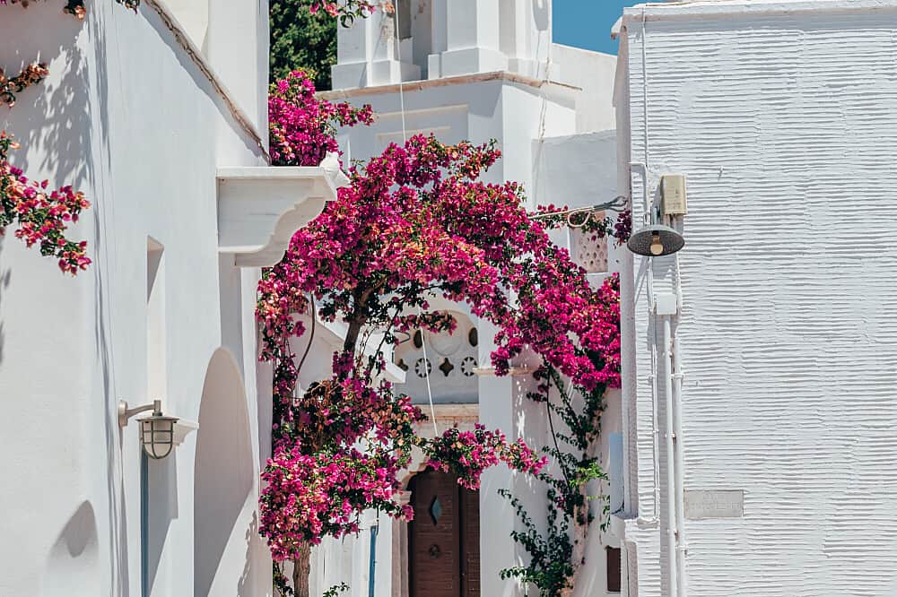 8 Day The Odyssey: Sailing & Soulwork on the Greek Isles 7