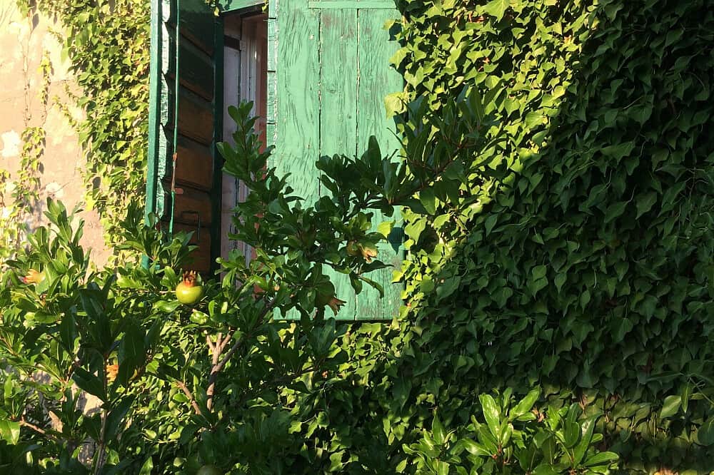 5 Day Wise Woman Rising: Menopause Yoga Wellness Retreat, Croatia 8