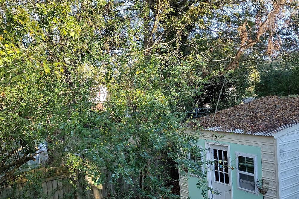 2 Day: A Day of Healing at The Goddess Cottage, Atlanta GA 4