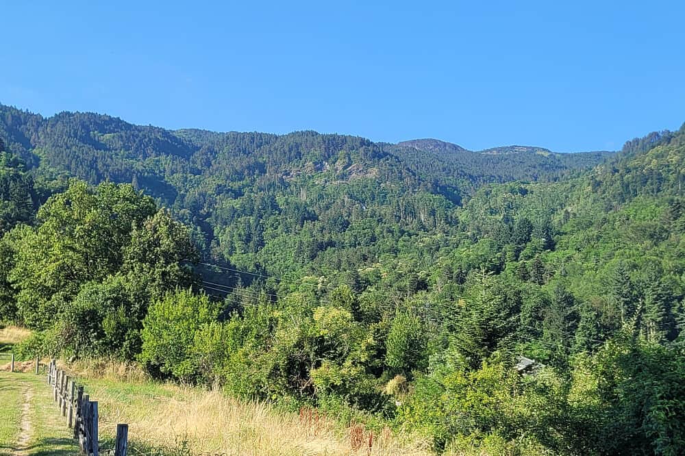 8 Day She Rises: Inner Child to Wild Women Healing Retreat, Italy 4