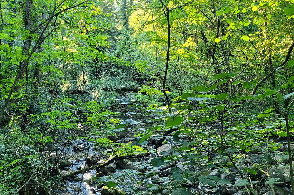 8 Day She Rises: Inner Child to Wild Women Healing Retreat, Italy 5
