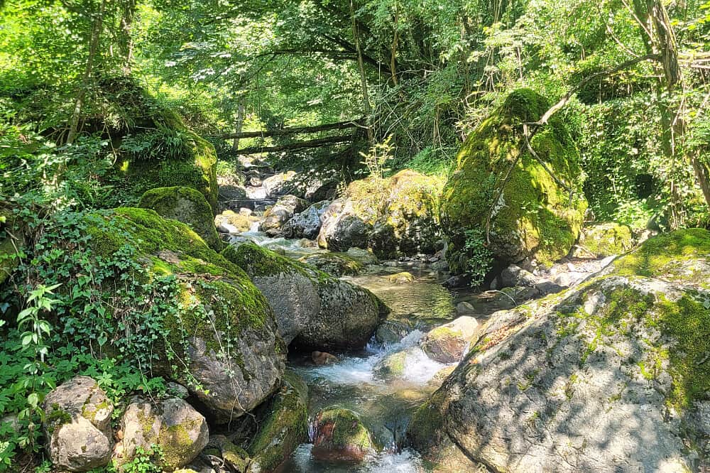 8 Day She Rises: Inner Child to Wild Women Healing Retreat, Italy 8