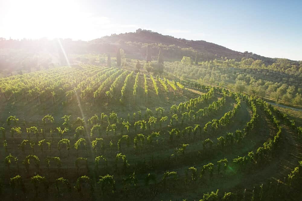 5 Day Divine Dolce Vita: LuxuryYoga Retreat in Tuscany. Italy 2