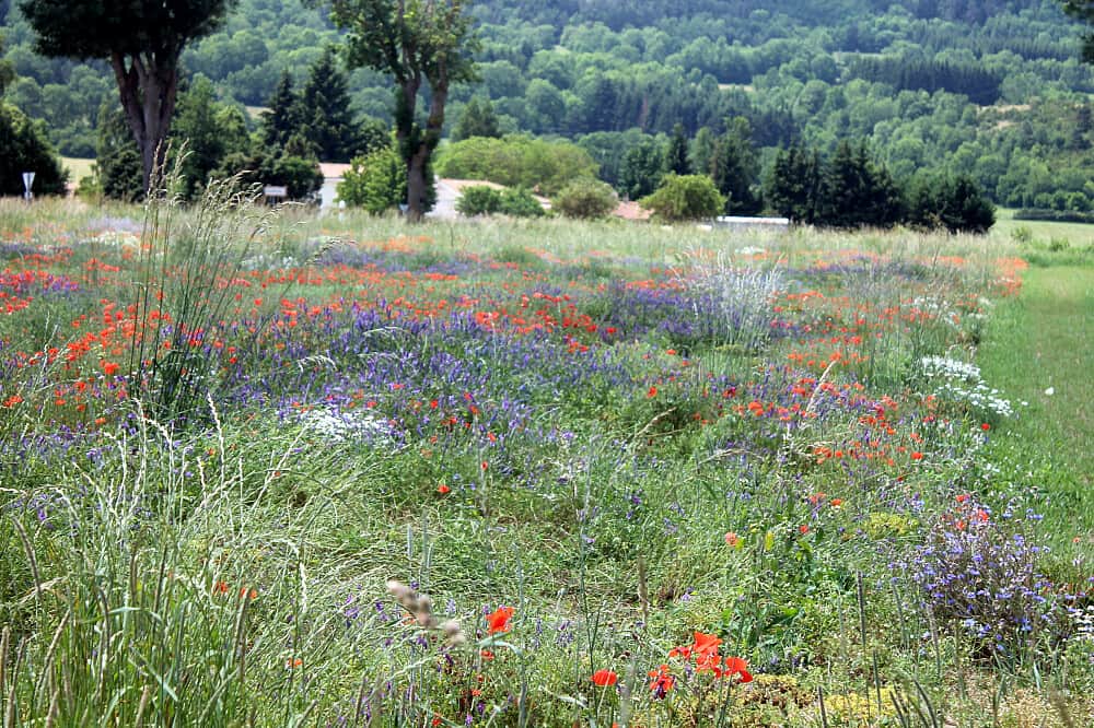 5 Day In The Footsteps Of The Cathars Retreat in France 4