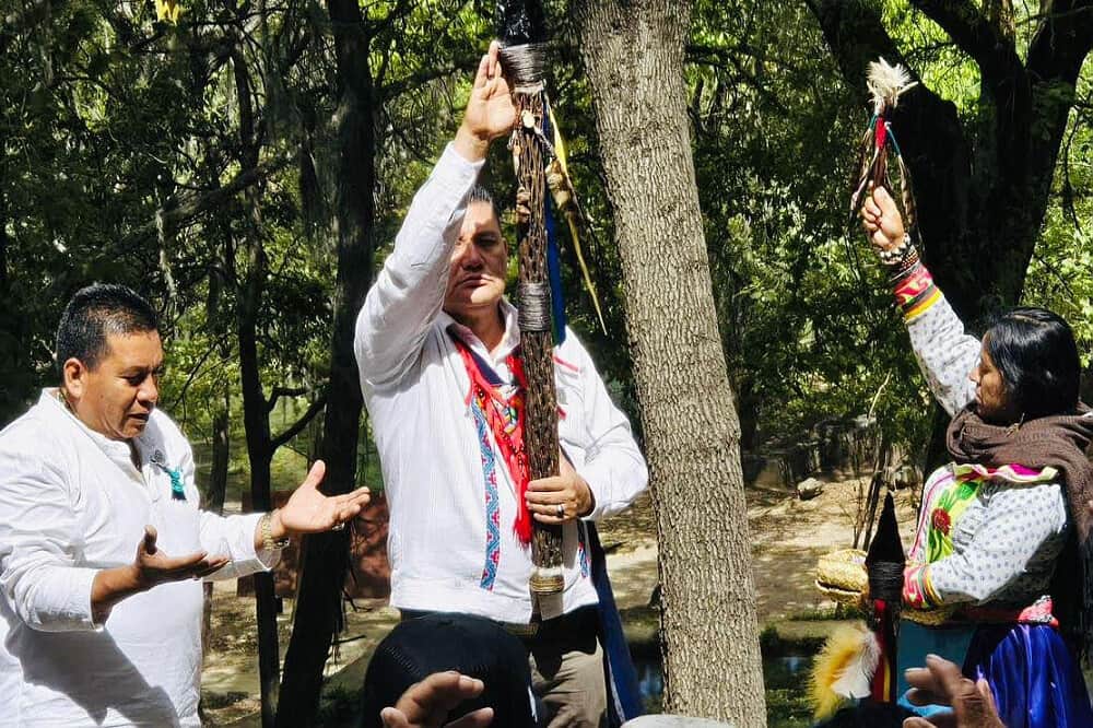 7 Day Hybrid Peyote & Purpose Program in Mexico 7