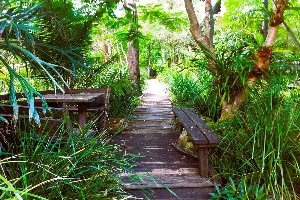 3 Day Menopause Retreat: Nervous System Regulation&Detox,AUS 2