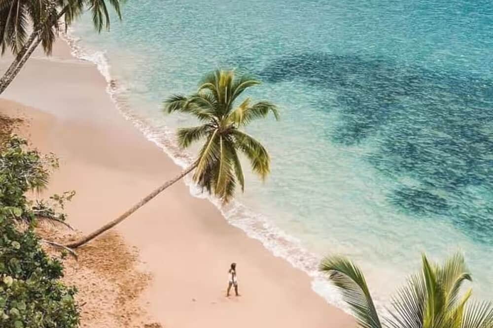 6 Day Embodied Authenticity: 1:1 Jungle Retreat in Costa Rica 8