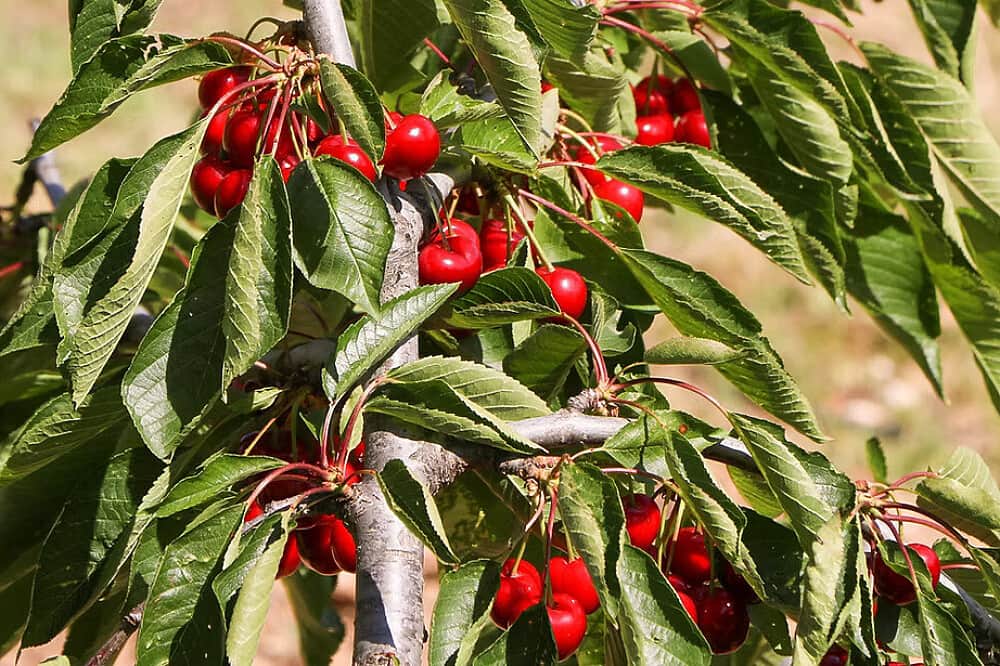 6 Day Yoga And New Beginnings Retreat in Valencia, Spain 4