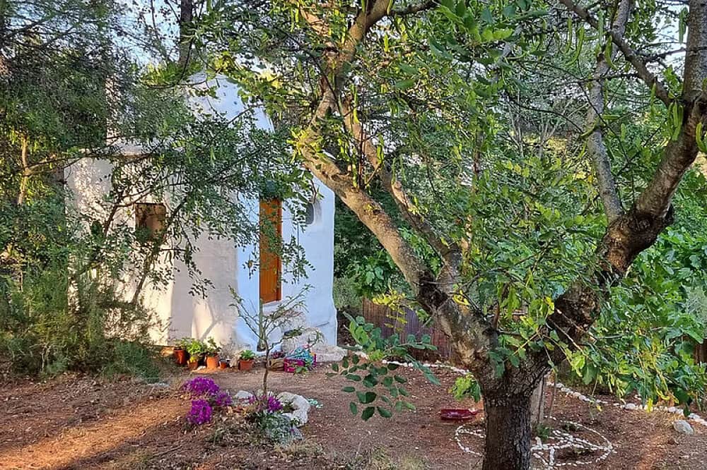 6 Day Yoga And New Beginnings Retreat in Valencia, Spain 7