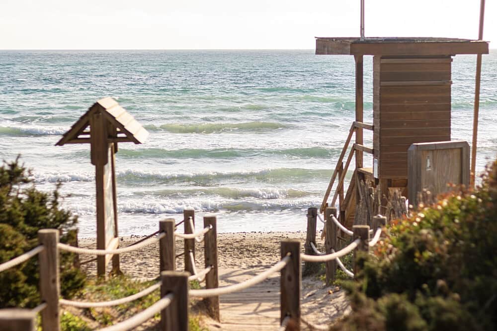 18 Day 200 Hour Hatha & Vinyasa Yoga Teacher Training in Ibiza 5