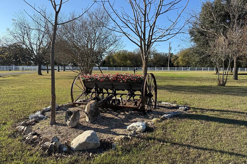 3 Day The Art of Being: Yoga Retreat in Texas, USA 5