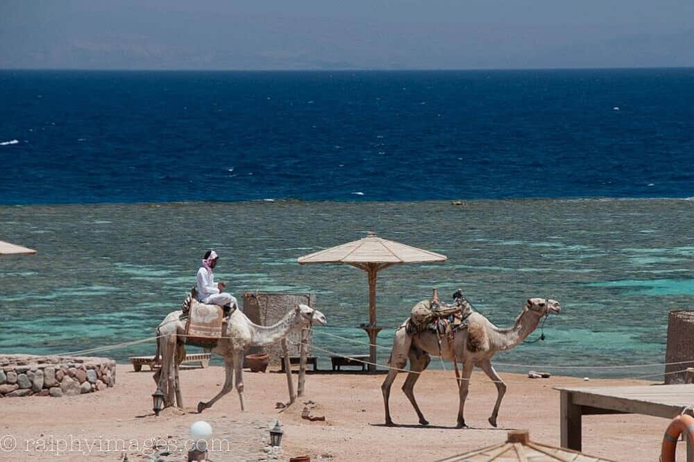 10 Day Kundalini & Breathwork Retreat in Dahab, Egypt 3