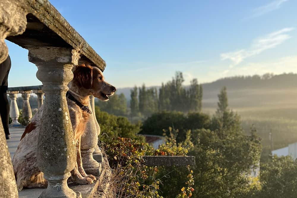 7 Day Unfold Retreat: Yoga, Reflection & Perspectives, Portugal 3