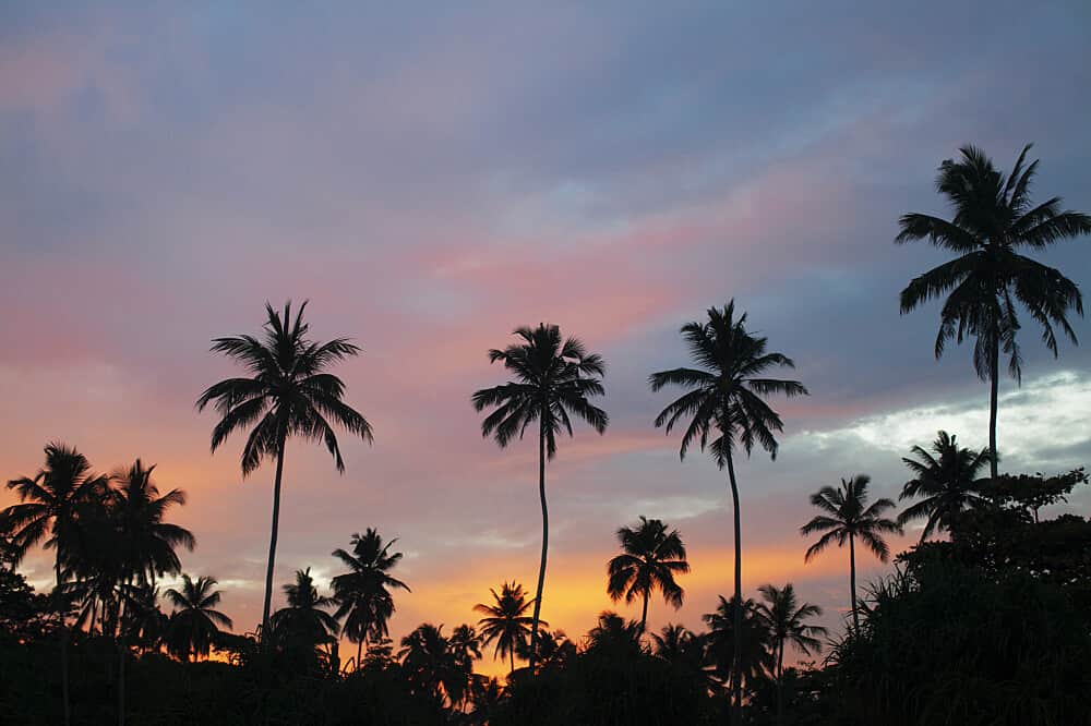 8 Day Holistic Wellness Retreat in Sri Lanka 8