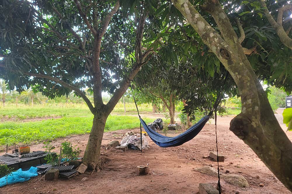7 Day Off-Grid Wellness Retreat To Recharge & Renew in Ho, Ghana 4