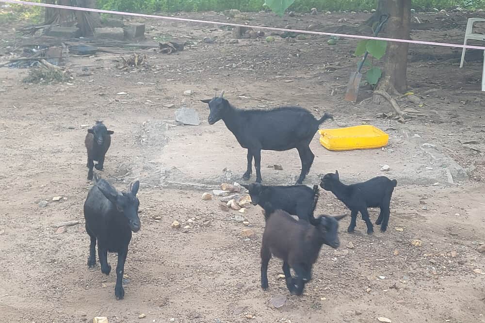 7 Day Off-Grid Wellness Retreat To Recharge & Renew in Ho, Ghana 3