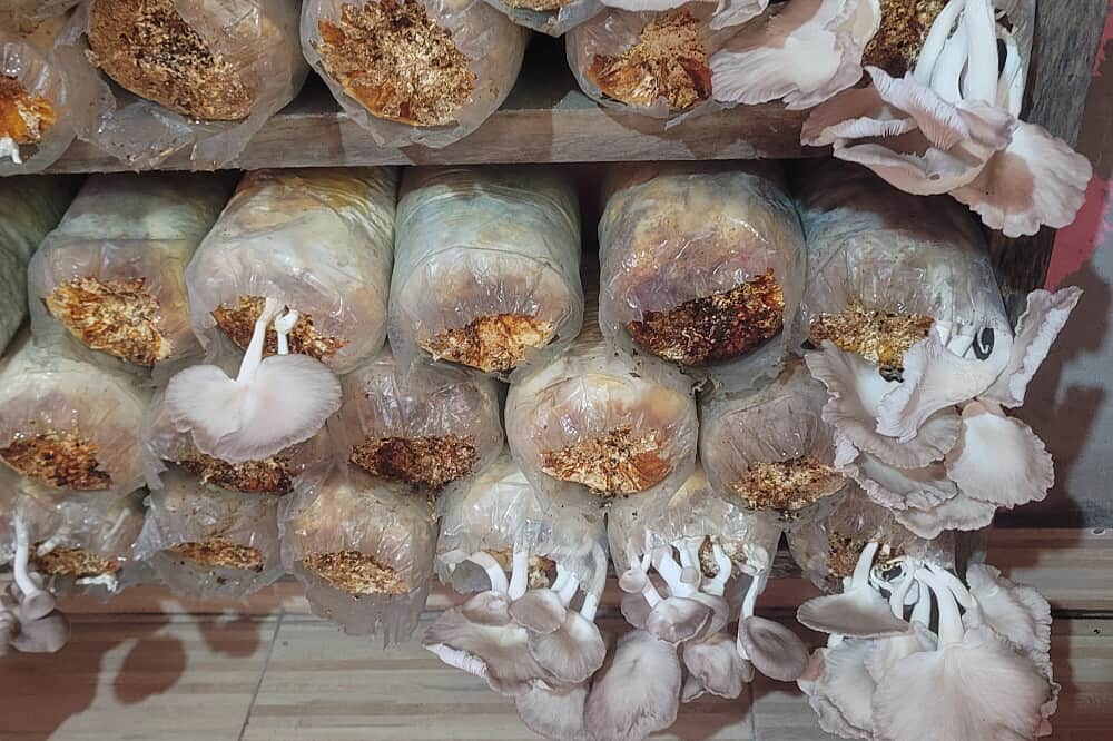 7 Day Off-Grid Wellness Retreat To Recharge & Renew in Ho, Ghana 8