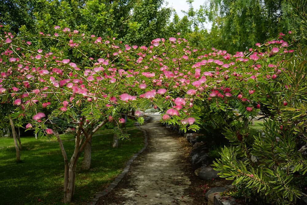 7 Day 'Stress to Stillness" Private Retreat,Tenerife 6