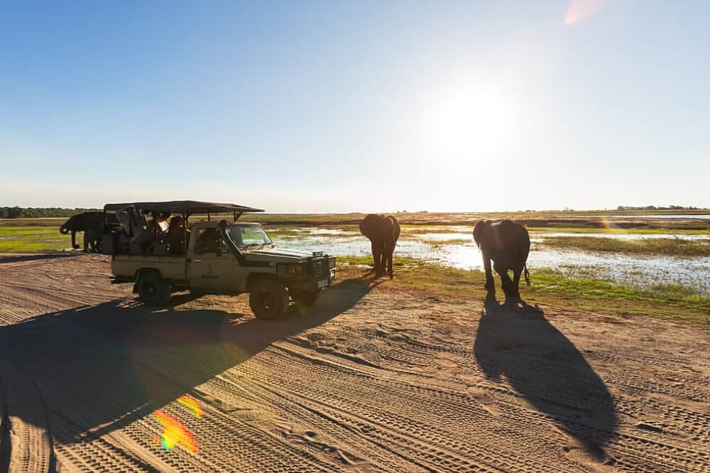 7 Day Wild Presence: Mindfulness Safari Retreat, Botswana 4
