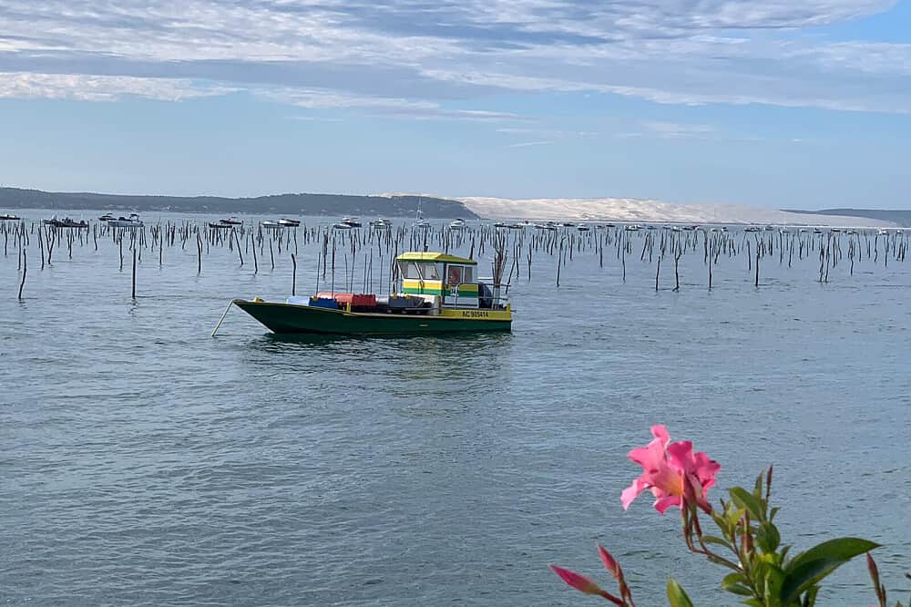 3 Day Bordeaux Beyond the Bottle: Private Wine & Wellness, France 6