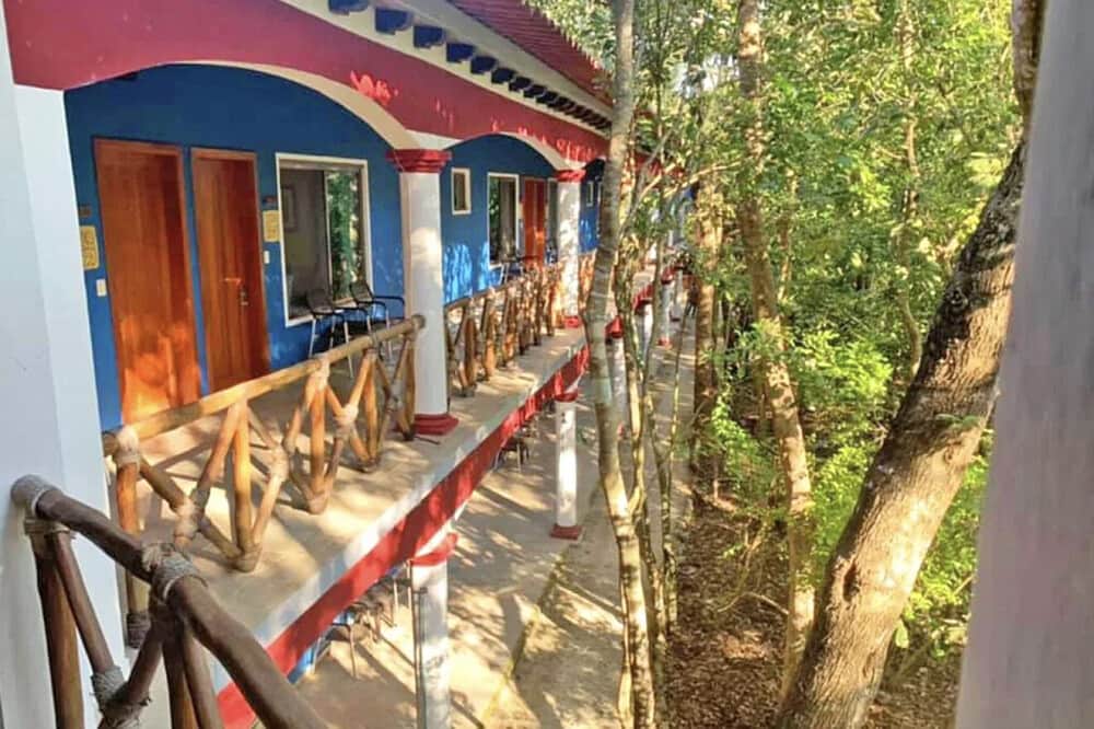 4 Day Ayahuasca, Kambo & Bufo Intensive Retreat in Cancun, Mexico 8