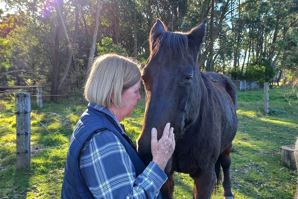 3 Day Stress & Anxiety Relief Retreat w/ Horses in NSW, Australia 5
