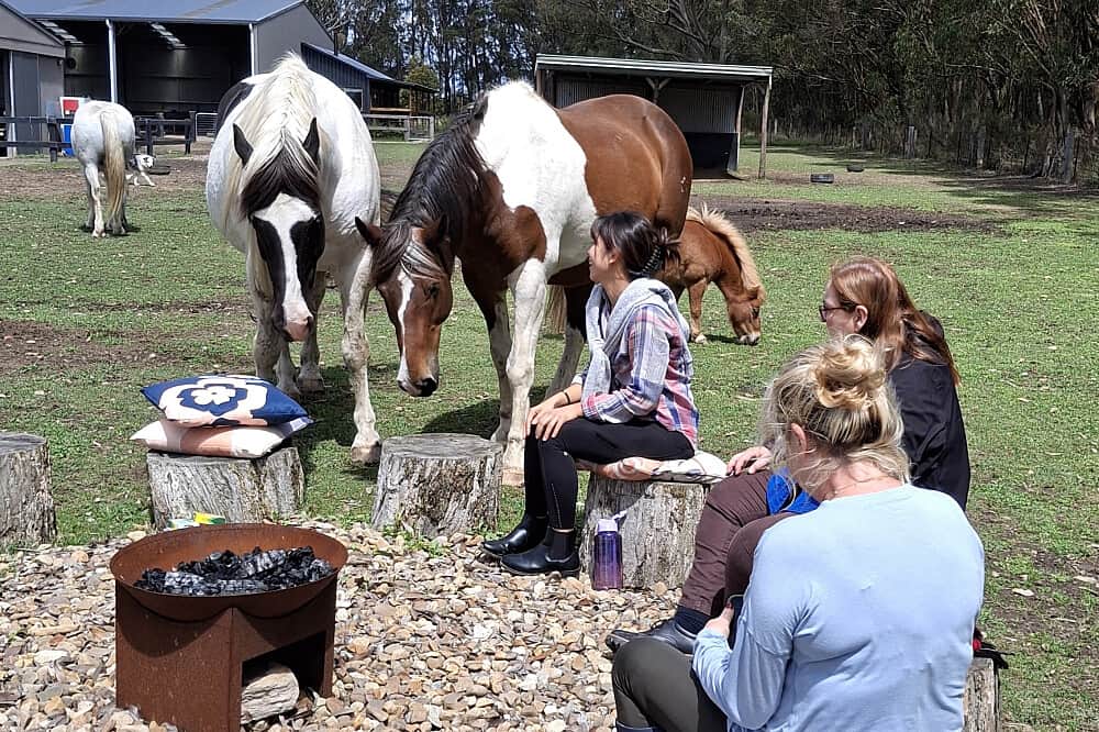 3 Day Stress & Anxiety Relief Retreat w/ Horses in NSW, Australia 4