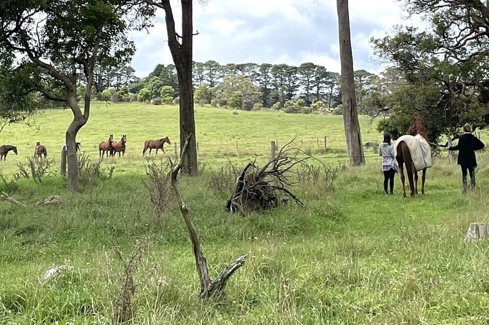 3 Day Stress & Anxiety Relief Retreat w/ Horses in NSW, Australia 3