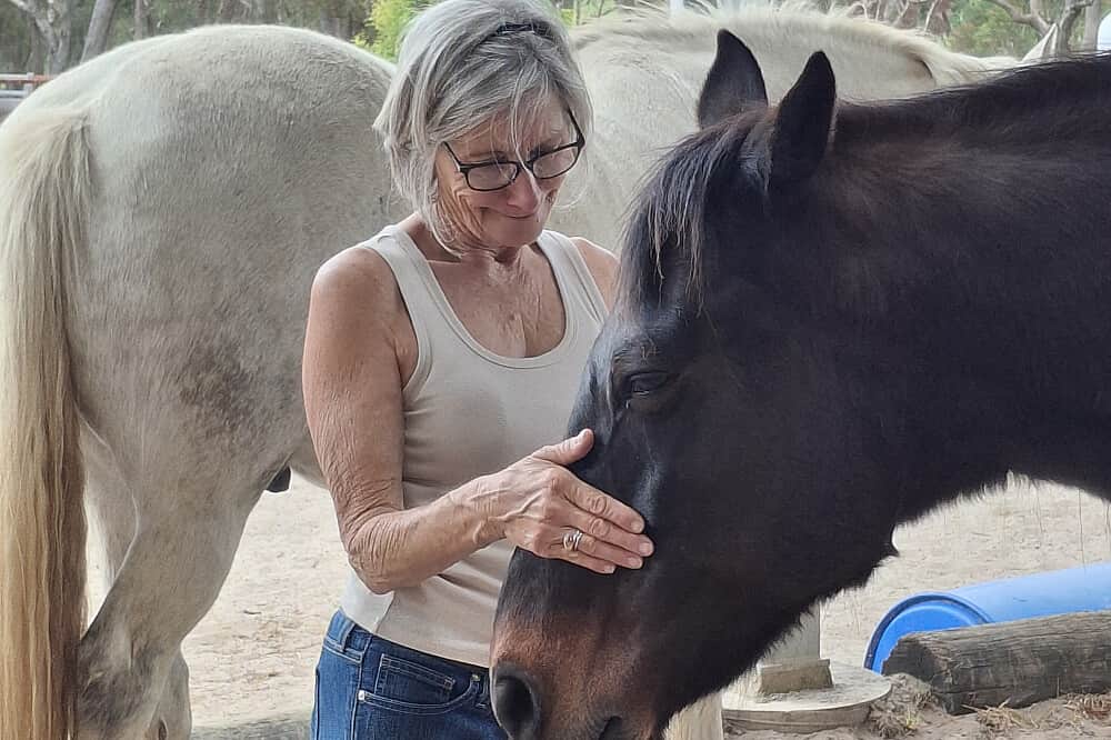3 Day Stress & Anxiety Relief Retreat w/ Horses in NSW, Australia 7