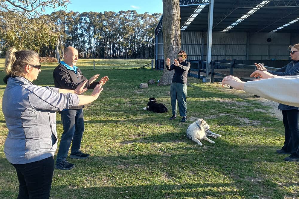 3 Day Stress & Anxiety Relief Retreat w/ Horses in NSW, Australia 8