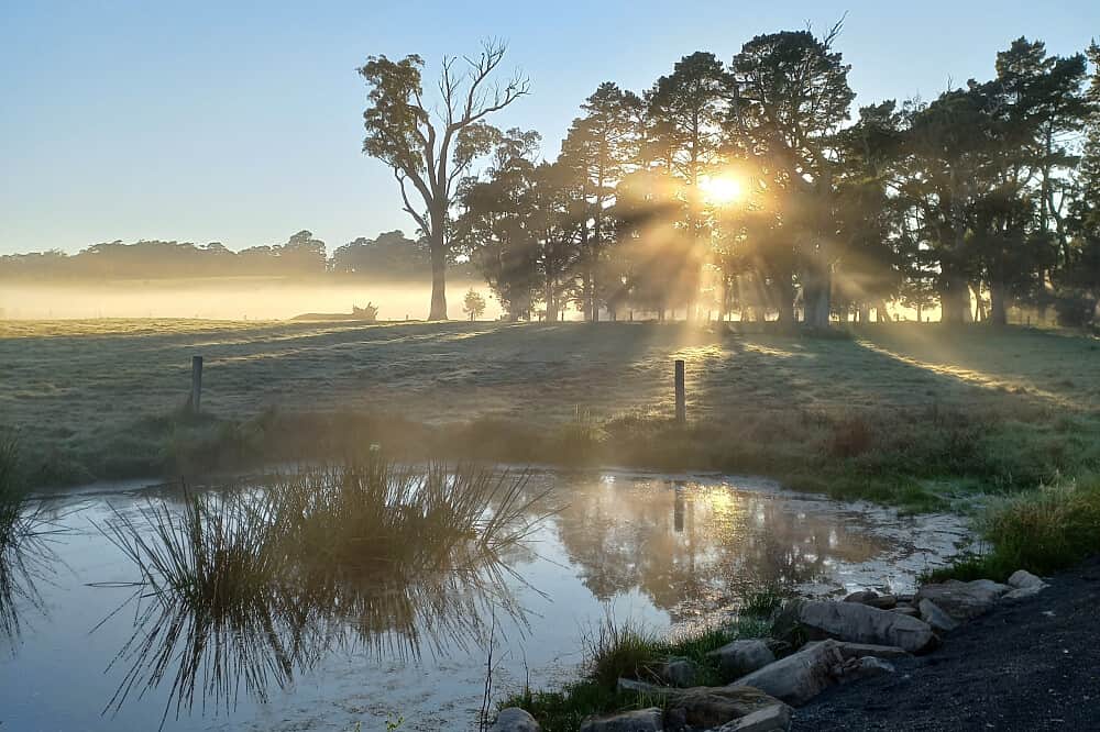3 Day Stress & Anxiety Relief Retreat w/ Horses in NSW, Australia 1
