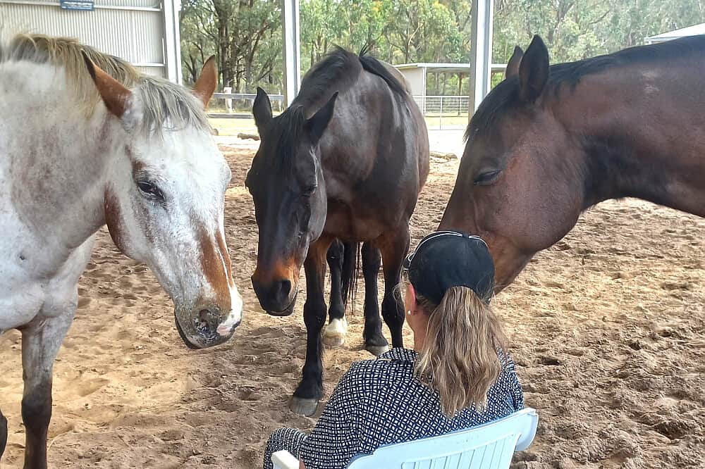 3 Day Stress & Anxiety Relief Retreat w/ Horses in NSW, Australia 2
